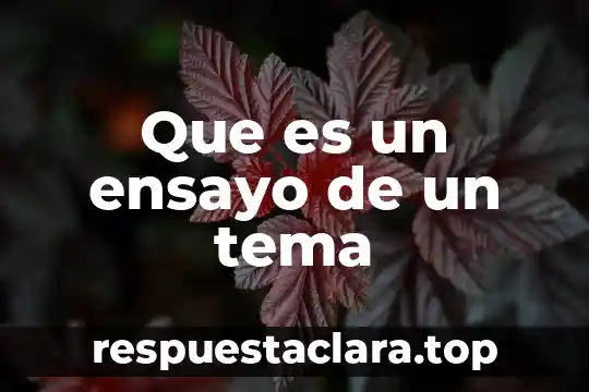 Que es el nombre de dominio en la informática 5 Que es un ensayo de un tema