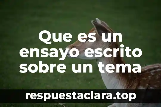 Que es un ensayo escrito sobre un tema