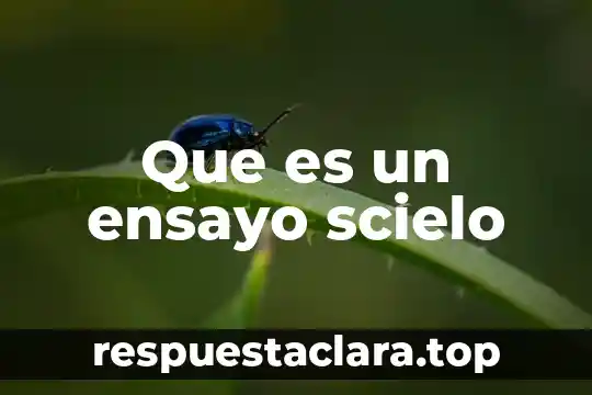 Que es mercado significado scielo 3 Que es un ensayo scielo