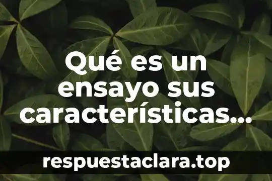 Que es una señal analogica caracteristicas 3 Qué es un ensayo sus características y funciones