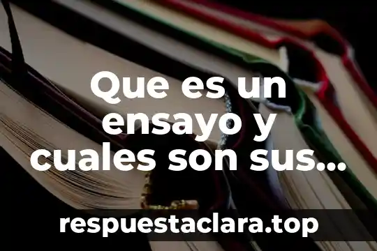 Que es un ensayo y cuales son sus etapas