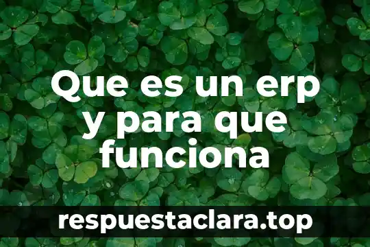 Que es un erp y para que funciona