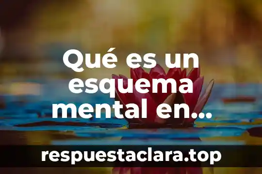 Qué es un esquema mental en filosofía