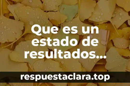 Que es un estado de resultados integral
