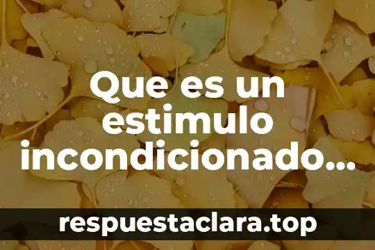 Que es un estimulo incondicionado definicion
