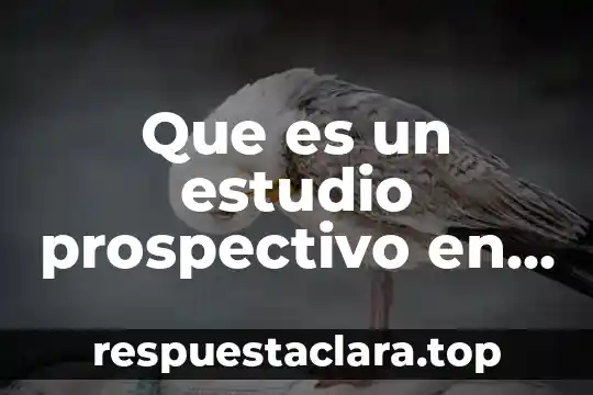 Que es un estudio prospectivo en investigacion