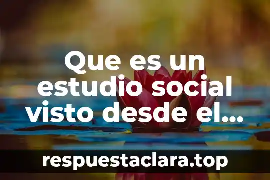Que es un estudio social visto desde el area pericial