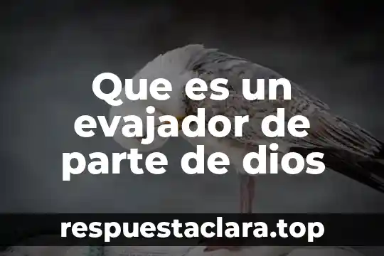 Que es un evajador de parte de dios