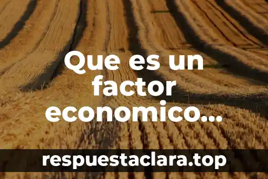 Que es un factor economico limitante
