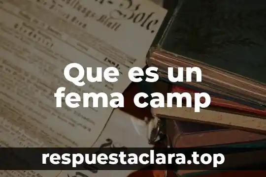 Met Gala que es Camp 4 Que es un fema camp
