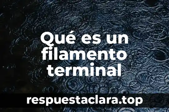 Qué es un filamento terminal