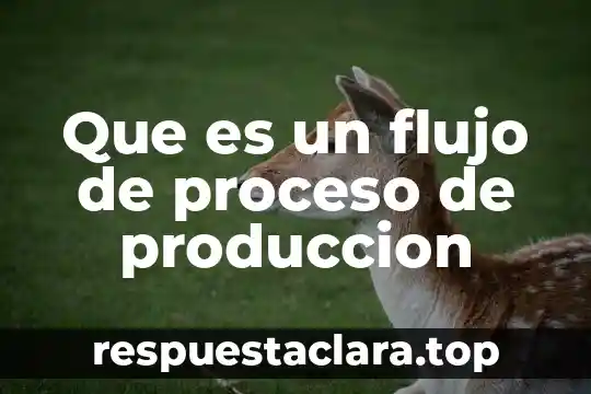 Que es un flujo de proceso de produccion