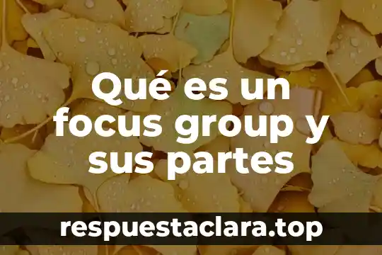Qué es un focus group y sus partes