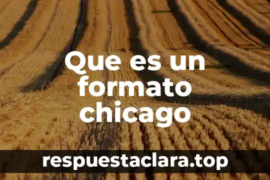 Que es un formato chicago