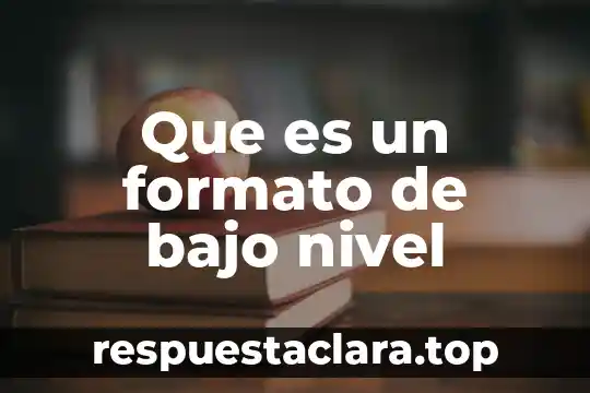 Que es un formato de bajo nivel