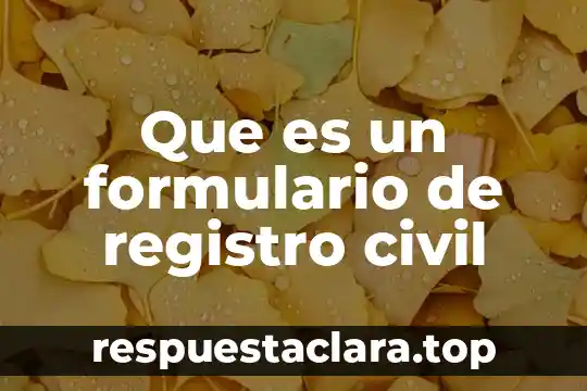 Que es un formulario significado 5 Que es un formulario de registro civil