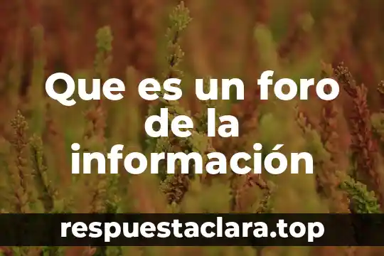 Que es foro nuevo sol del df 4 Que es un foro de la información