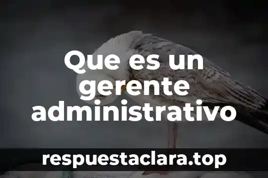 Que es un gerente administrativo