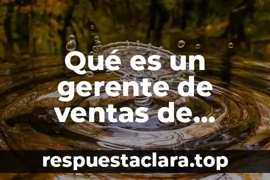 Qué es un gerente de ventas de exportación