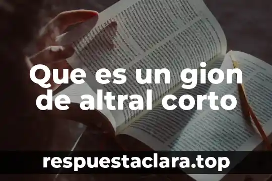 Que es un gion de altral corto