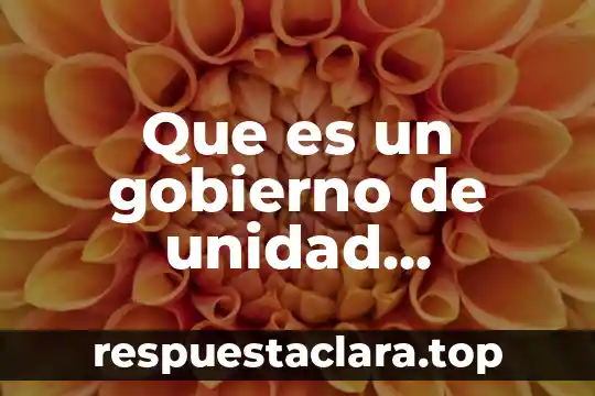 Que es un gobierno de unidad nacional
