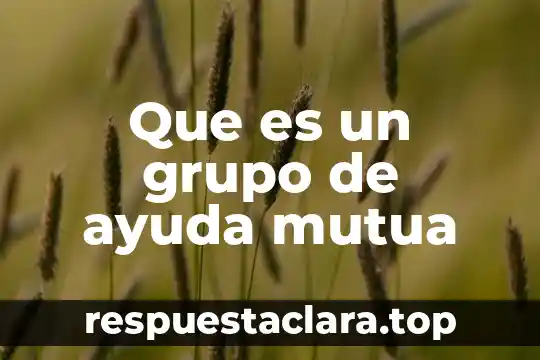 Que es un grupo de ayuda mutua