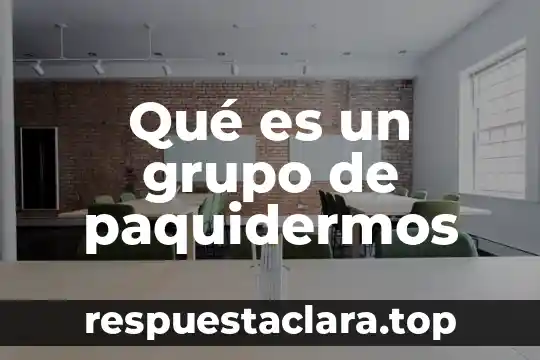 Que es una facetas para un ser humano 8 Qué es un grupo de paquidermos