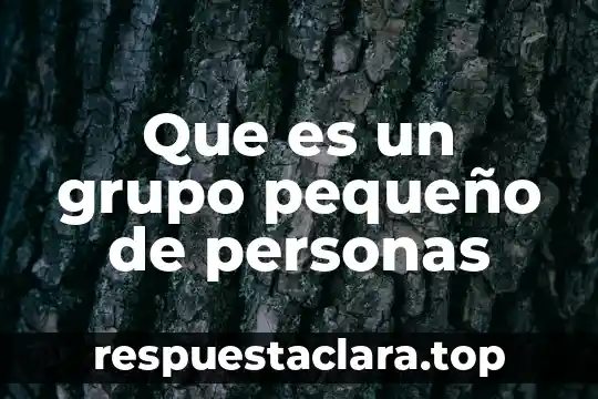 Resumen pequeño de que es la ideología de género 6 Que es un grupo pequeño de personas