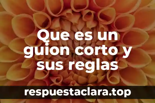 Que es un guion corto y sus reglas