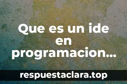 Que es el usuario general de la contabilidad 4 Que es un ide en programacion visual