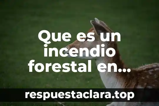 Que es un incendio forestal en ingles y español