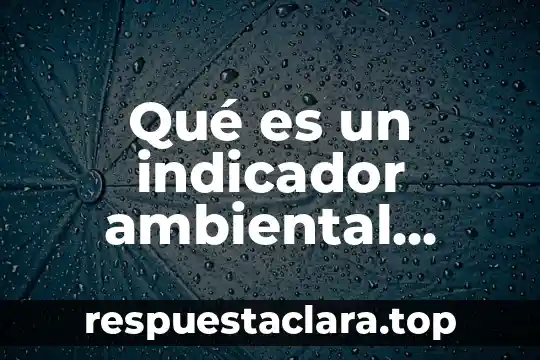 Qué es la educación ambiental definición 5 Qué es un indicador ambiental definición