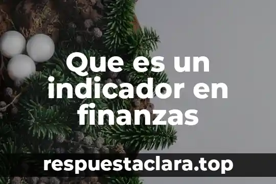 Que es un indicador en finanzas