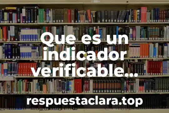 Que es un indicador verificable ejemplos