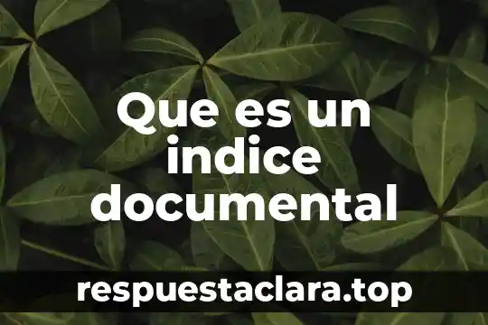 Que es un indice documental