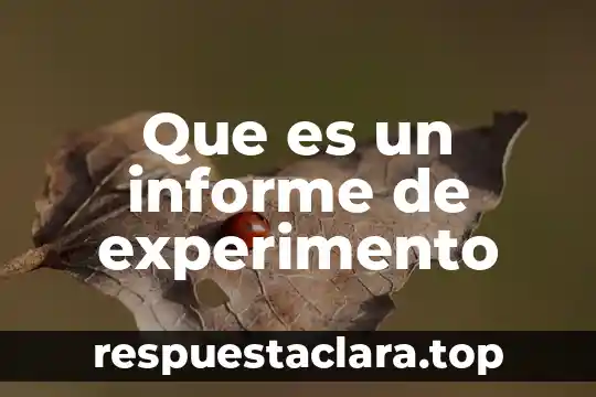 Que es un informe de experimento