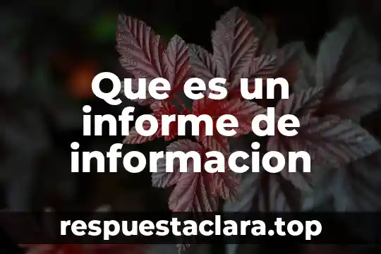 Que es un informe de informacion