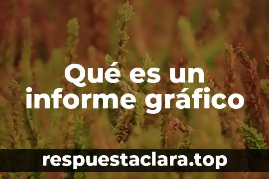 Qué es un informe gráfico