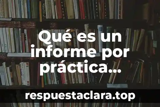 Qué es un informe por práctica profesional que es