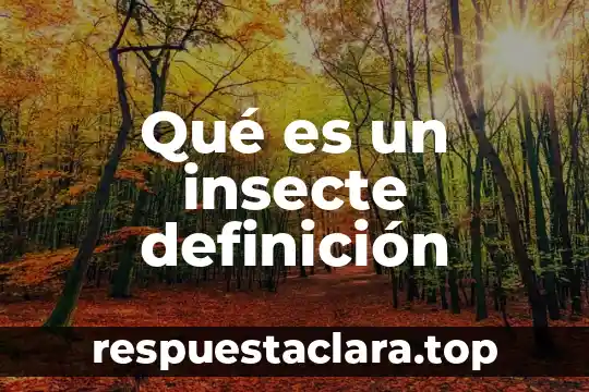 Qué es un insecte definición