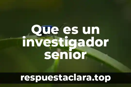 Que es un investigador senior