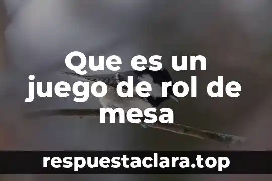 Que es un juego de rol de mesa