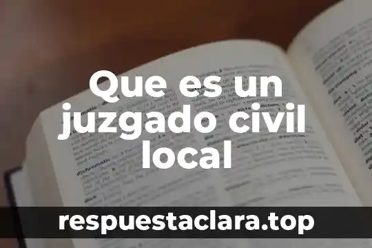 Que es un juzgado civil local