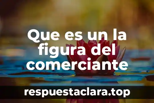 Que es la tasa de recirculacion en tratamiento de agua 7 Que es un la figura del comerciante