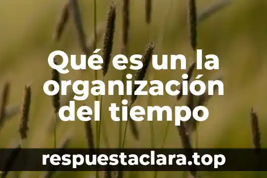 Qué es un la organización del tiempo