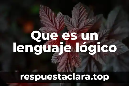 Que es un lenguaje lógico