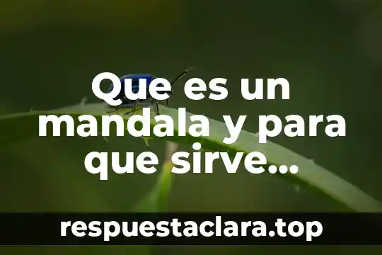 Que es un mandala y para que sirve yahoo