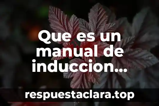 Qué es la artrogriposis definición 6 Que es un manual de induccion definicion