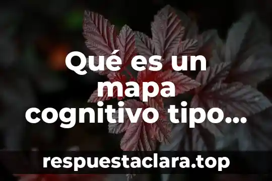 Que es una sol 3 Qué es un mapa cognitivo tipo sol y ejemplo