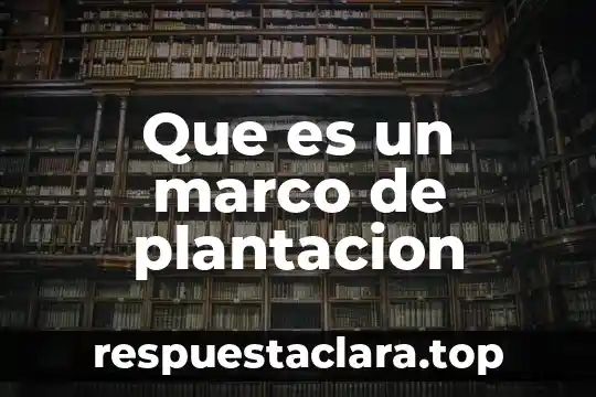 Que es un marco de plantacion